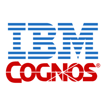 IBM Business Partner